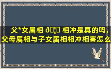 父*
女属相 🦊 相冲是真的吗,父母属相与子女属相相冲相害怎么办